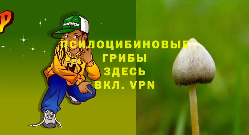 Галлюциногенные грибы Psilocybe  Бирск 